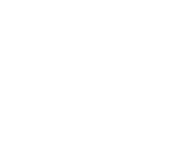 Fleur de Lis